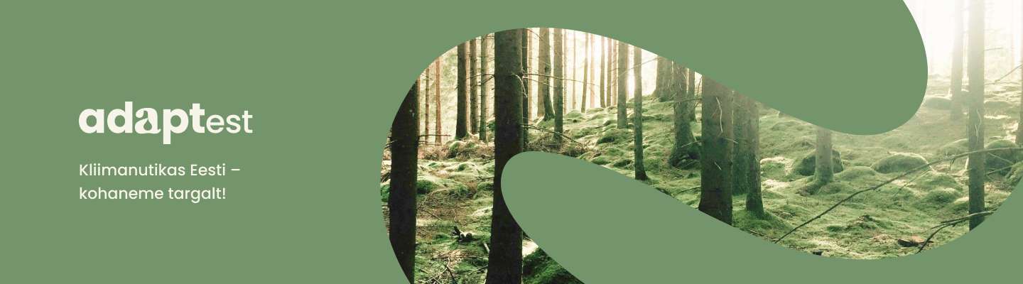 projekti logo bänner taustal metsa pilt